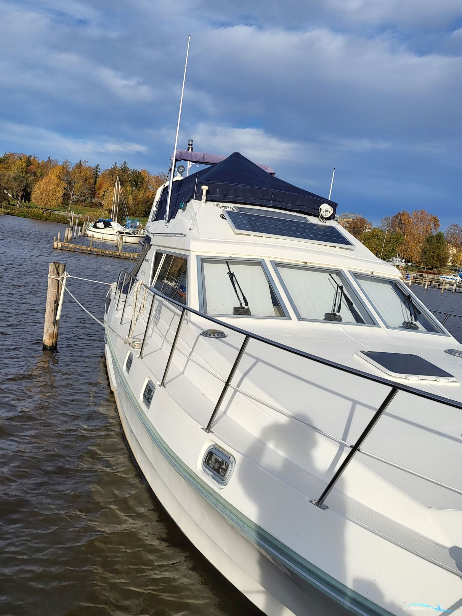 Birchwood ts 37 Höst pris innan upptagning