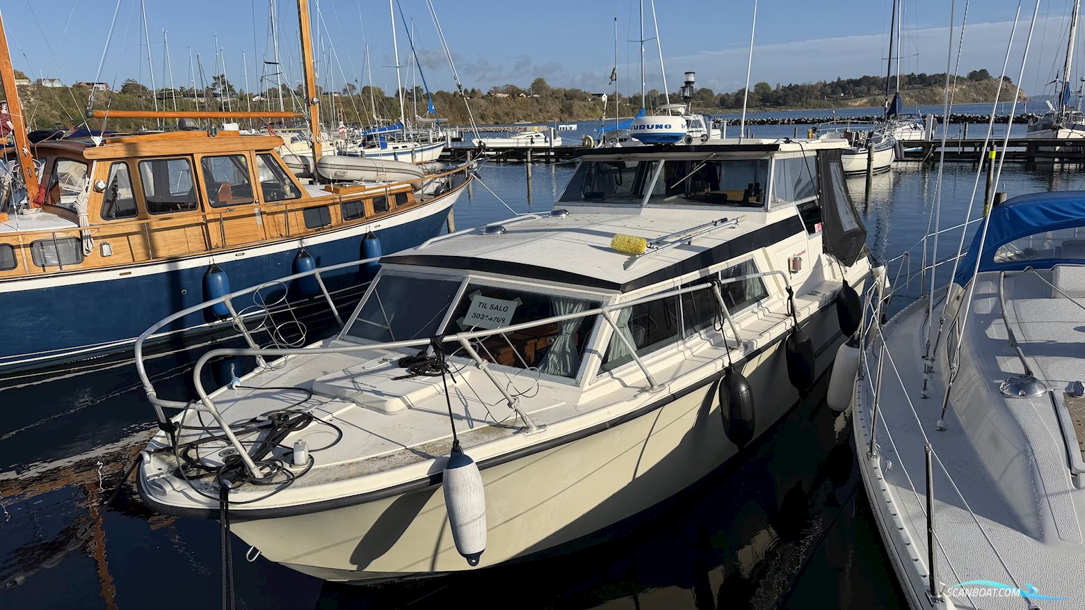 Birckwood 25 HT