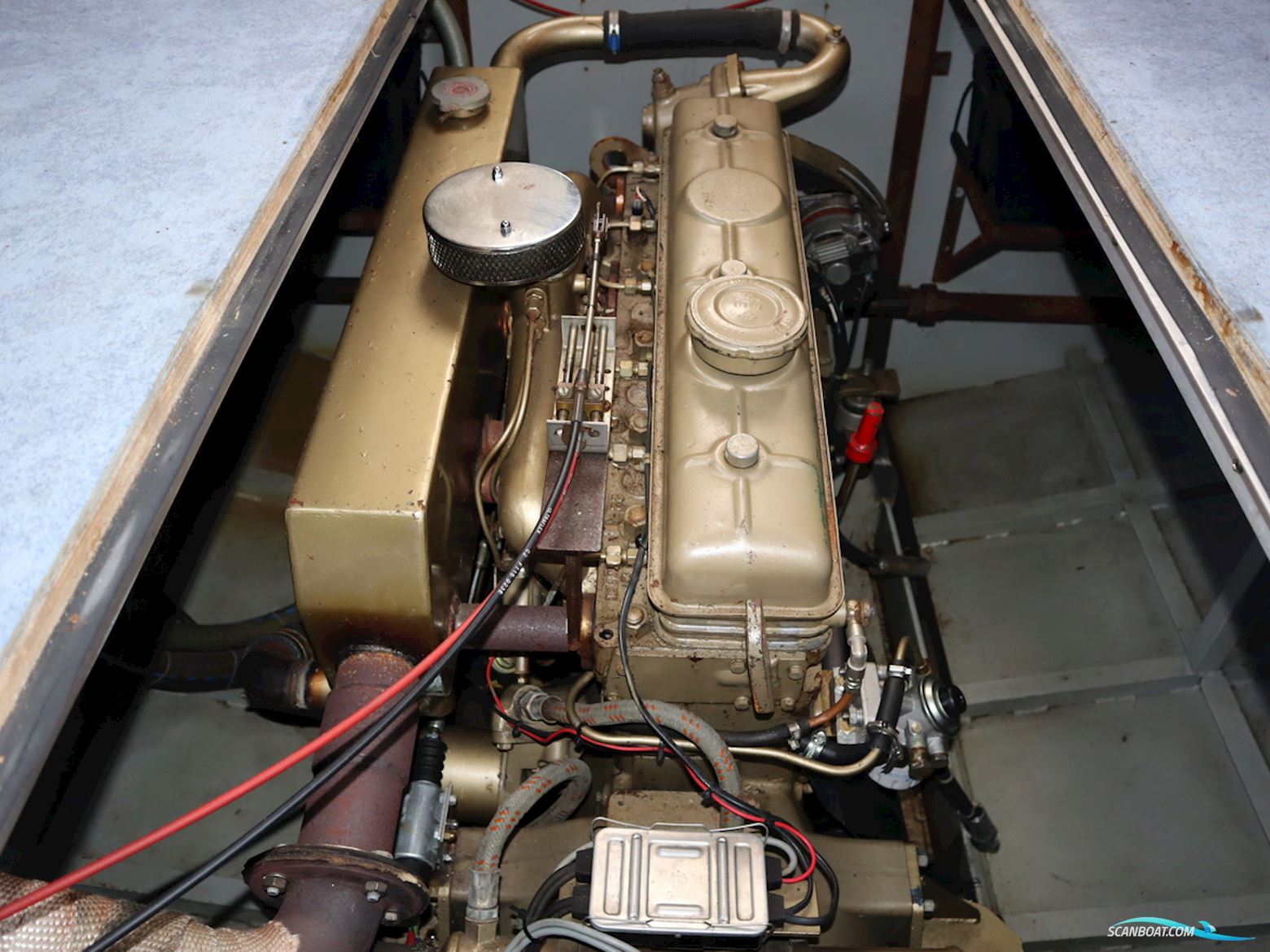 Blauwe Kruisvaarder 12.5