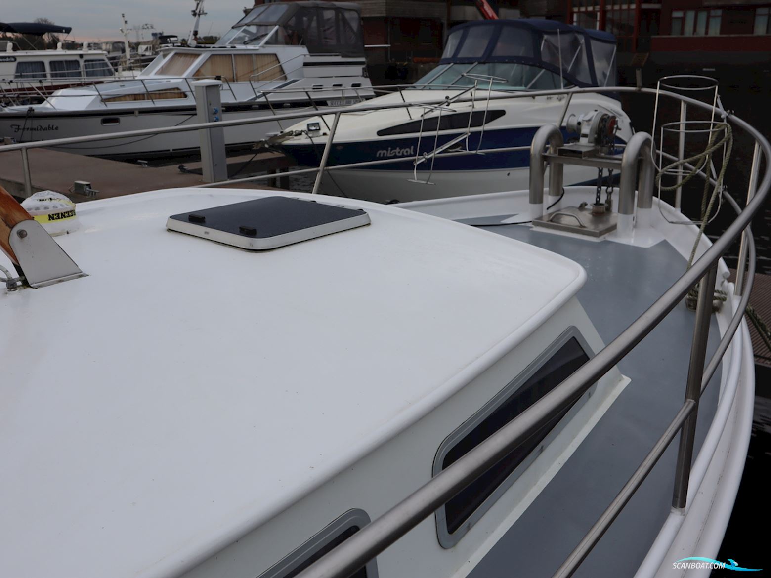 Blauwe Kruisvaarder 12.5