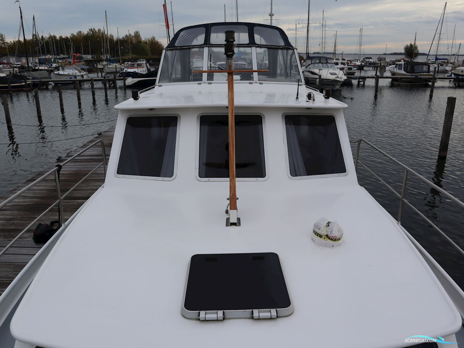 Blauwe Kruisvaarder 12.5