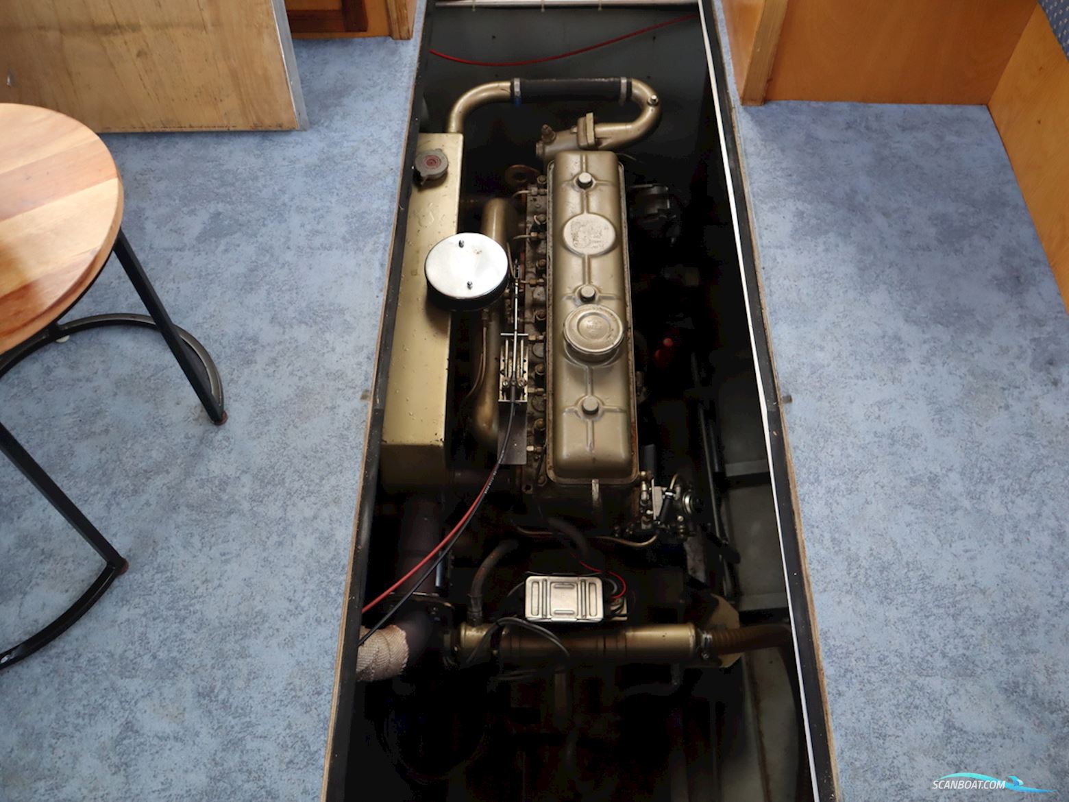 Blauwe Kruisvaarder 12.5