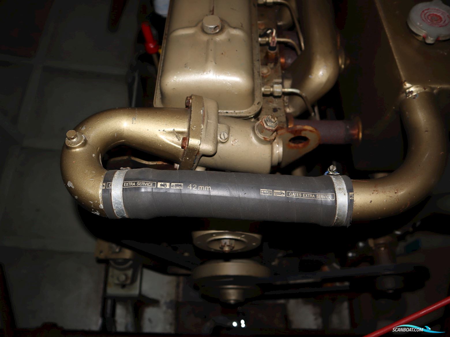 Blauwe Kruisvaarder 12.5