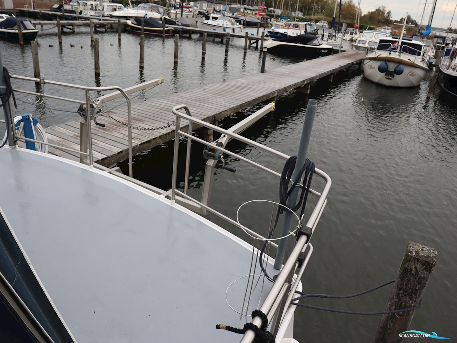 Blauwe Kruisvaarder 12.5