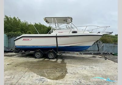 Boston Whaler 23 Conquest Motorboot 1999, mit Hyundai Marine motor, Irland
