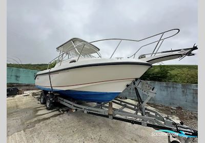 Boston Whaler 23 Conquest Motorboot 1999, mit Hyundai Marine motor, Irland