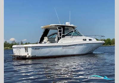 Boston Whaler 340 Defiance Motorboot 2005, mit Yanmar motor, Niederlande