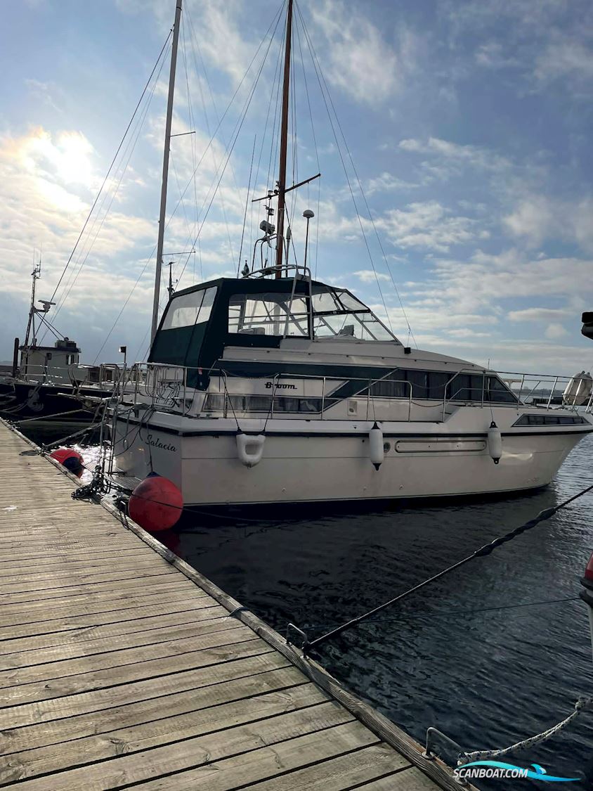 Broom 12M Monarch