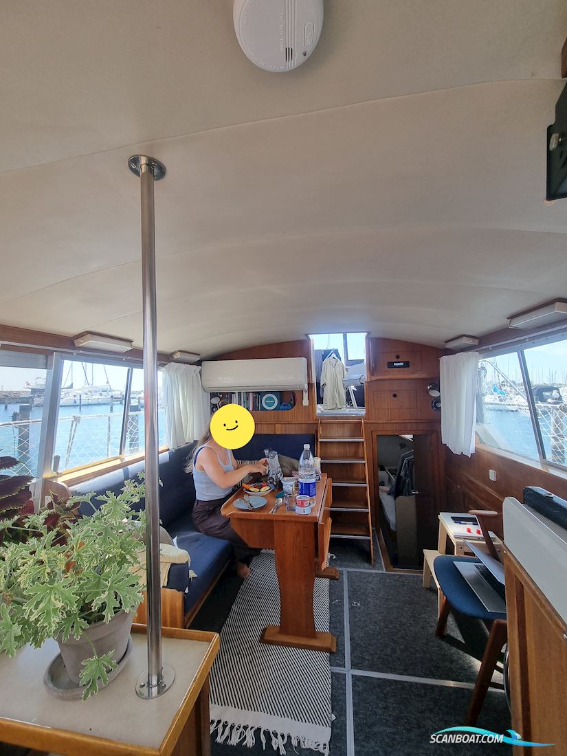 Broom 35 European