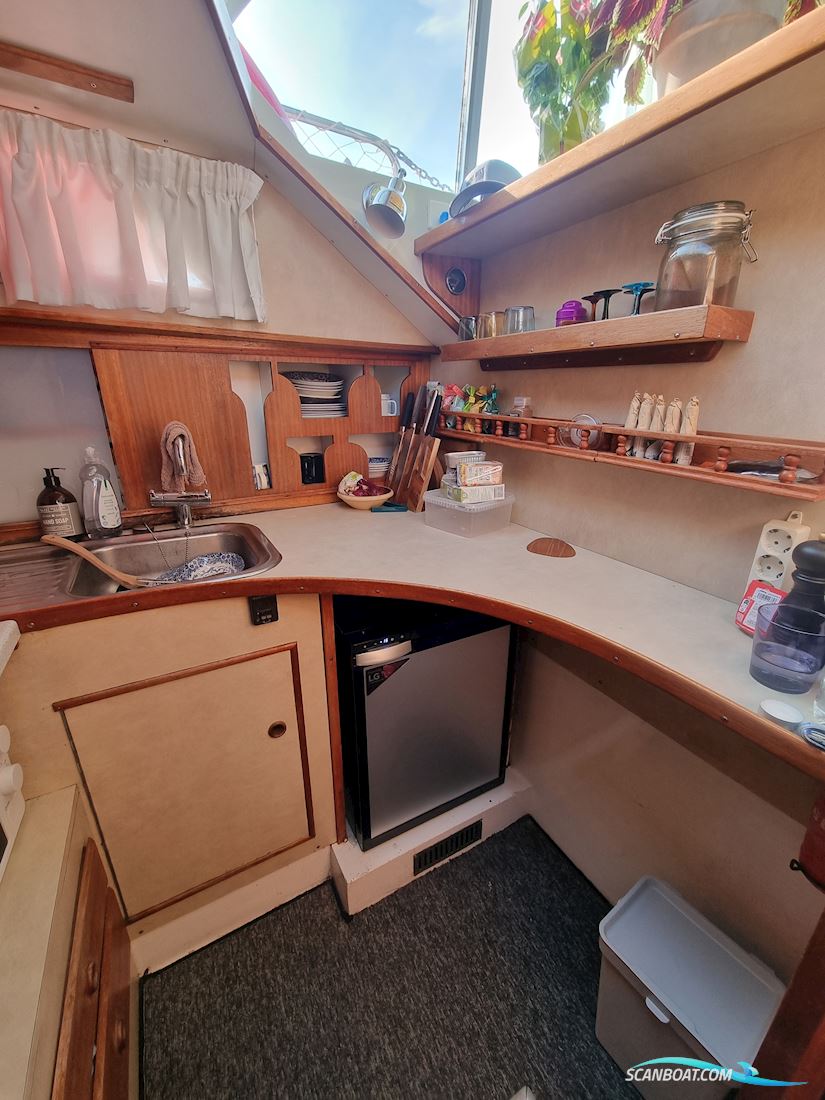 Broom 35 European
