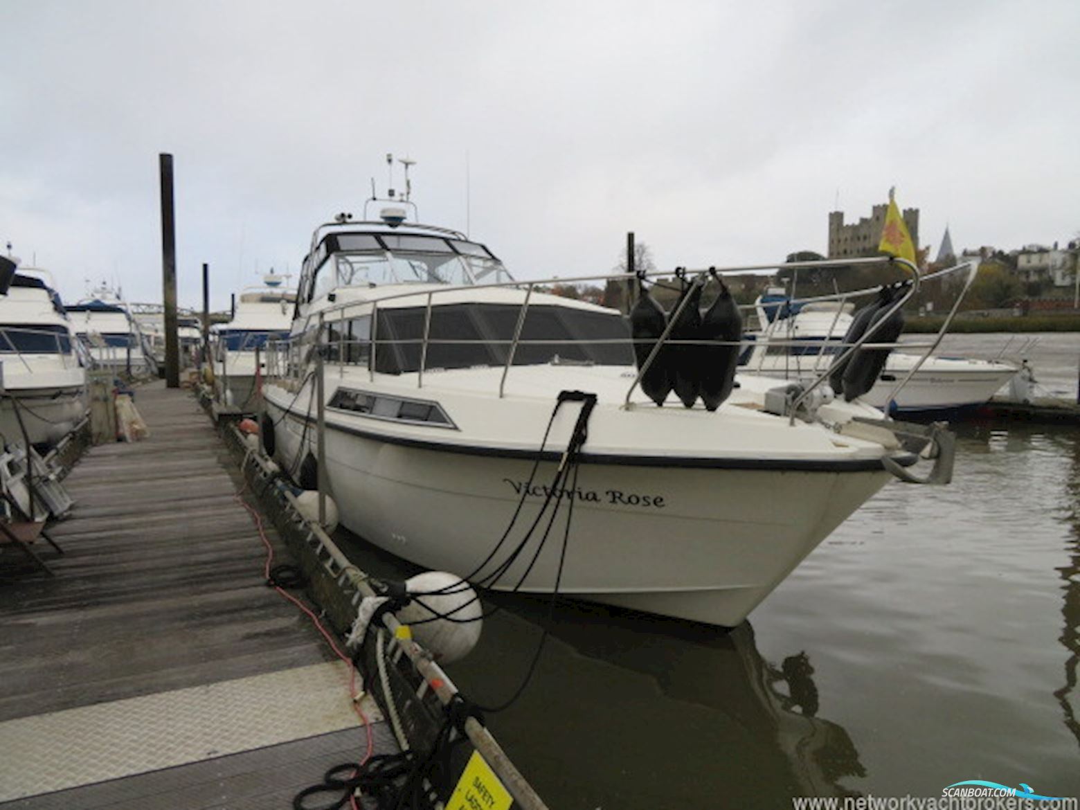 Broom 40 Monarch