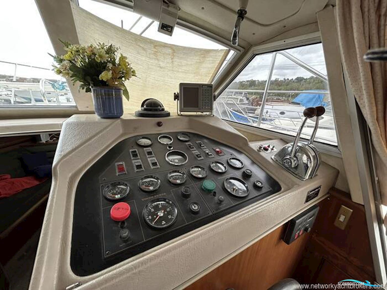 Broom Crown 37
