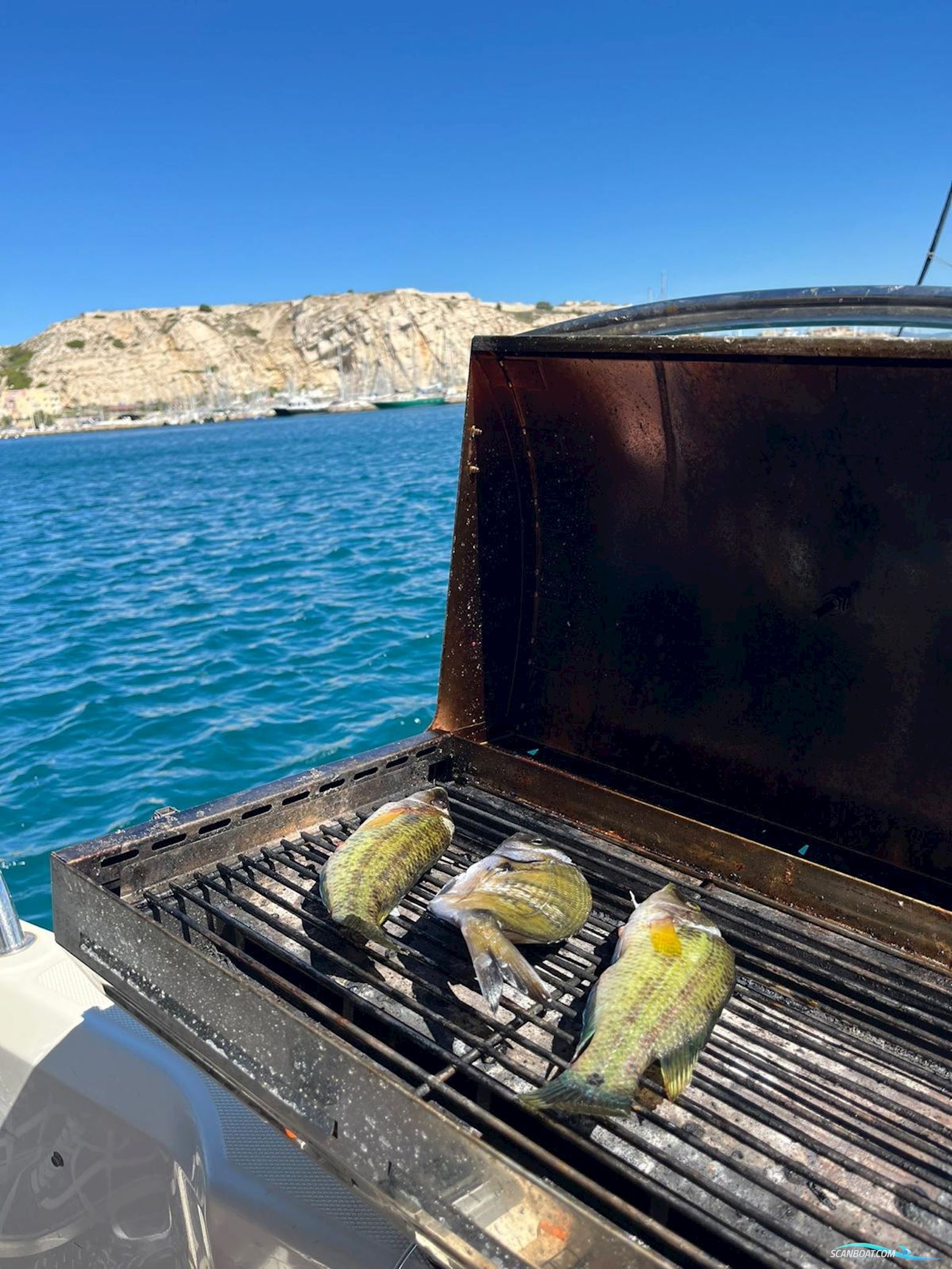 Brunswick Marine Quicksilver 855 Active Cruiser Avec Place