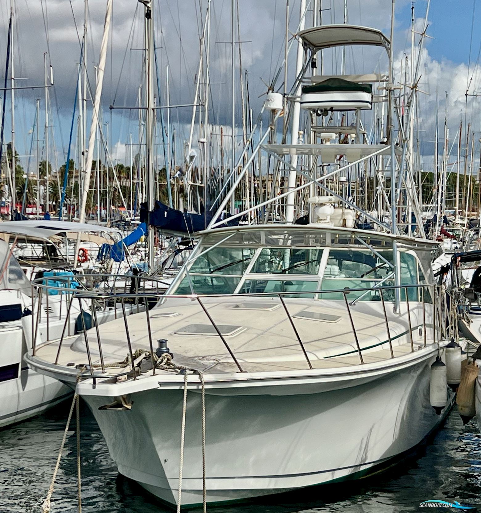 Cabo Yatchs 45 Express