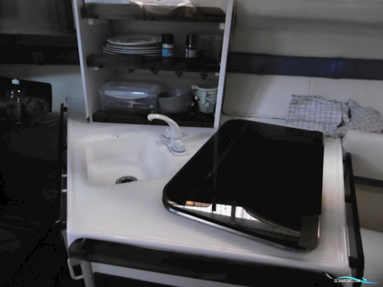 Campion 245 Victoria