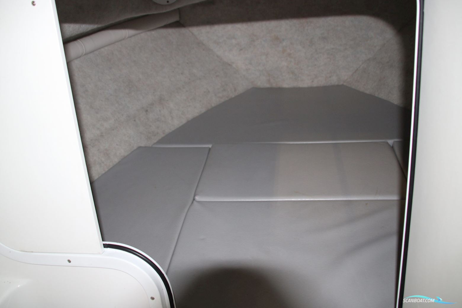 Campion 542 SC Explorer