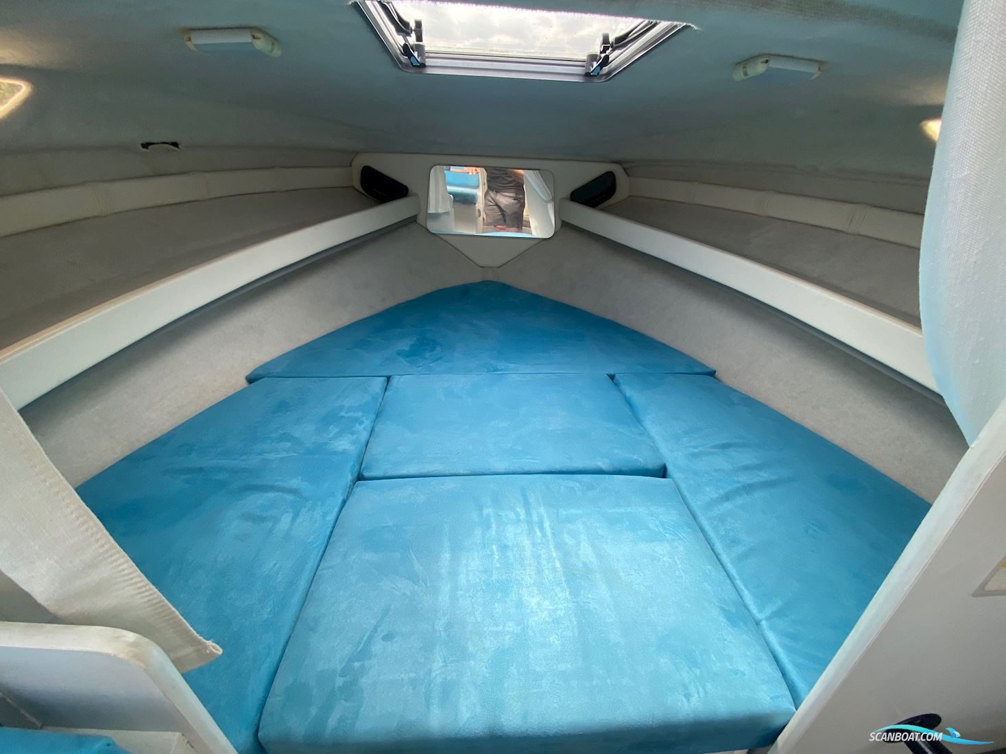 Campion 627 Victoria