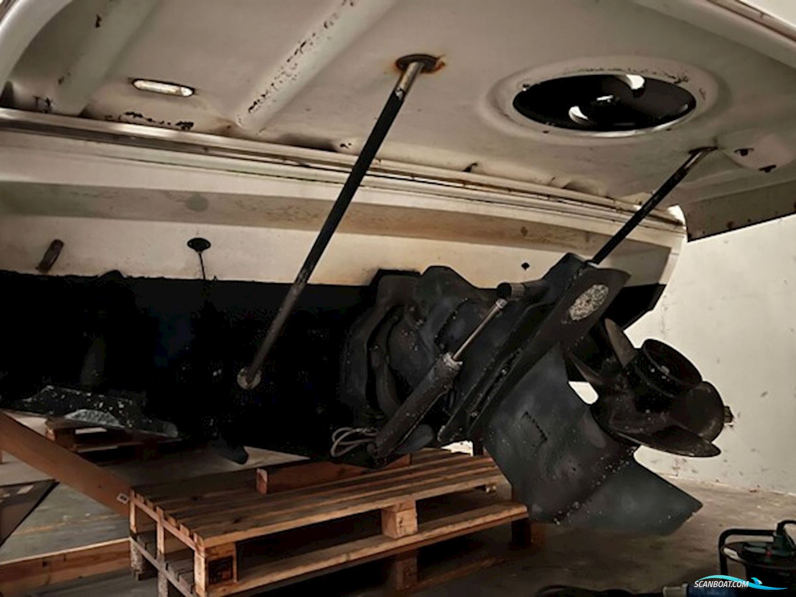 Campion 805 LX Allante - MerCruiser