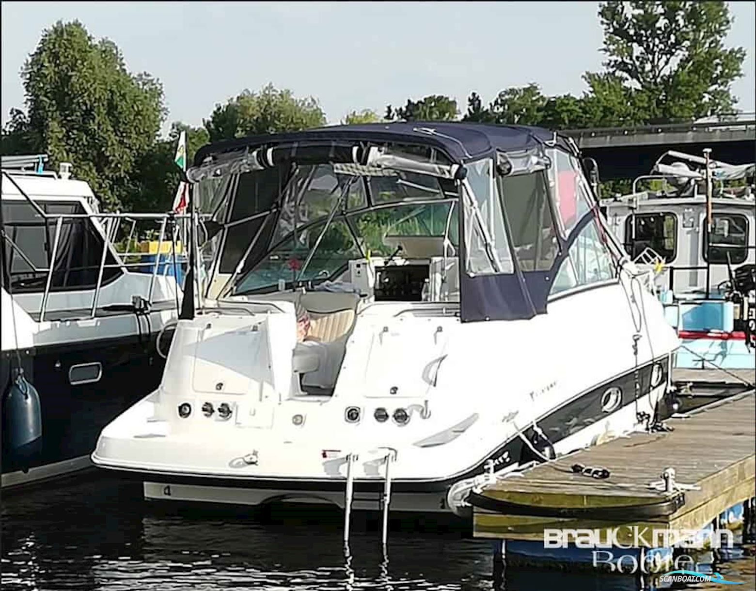 Campion Allante 825i