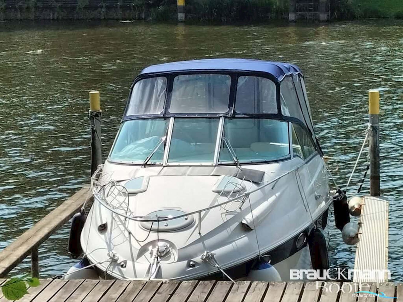 Campion Allante 825i