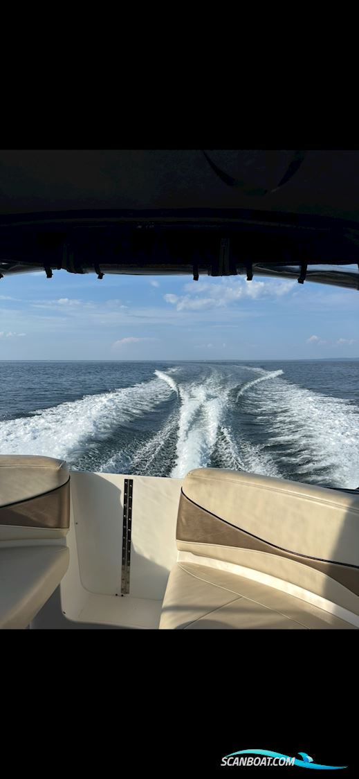 Campion Allante 825i