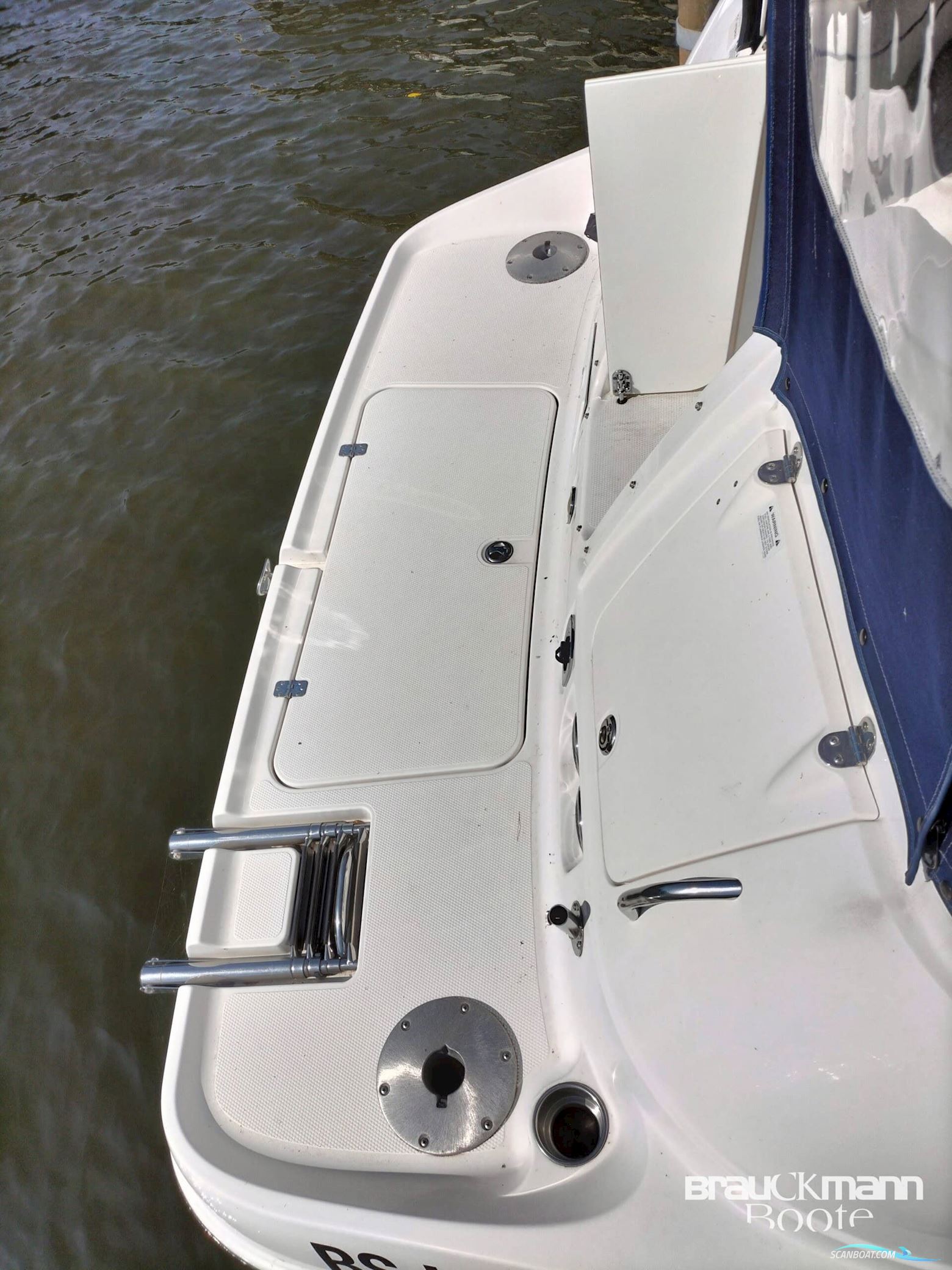 Campion Allante 825i