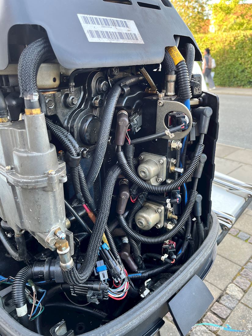 Campion Explorer 542