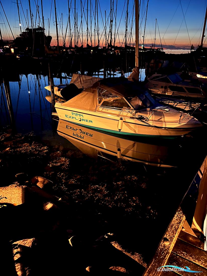 Campion Explorer 542