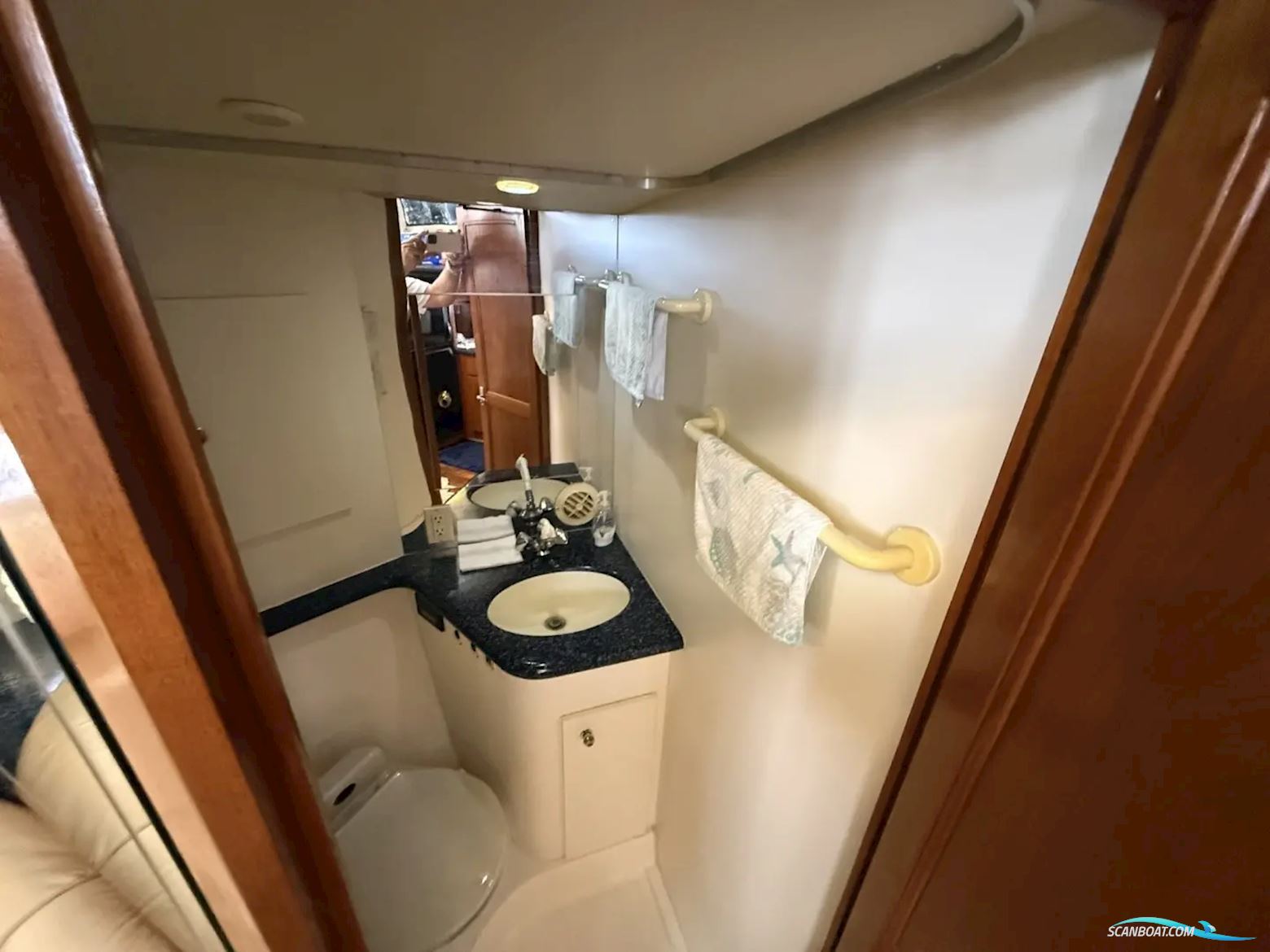 Carver 406