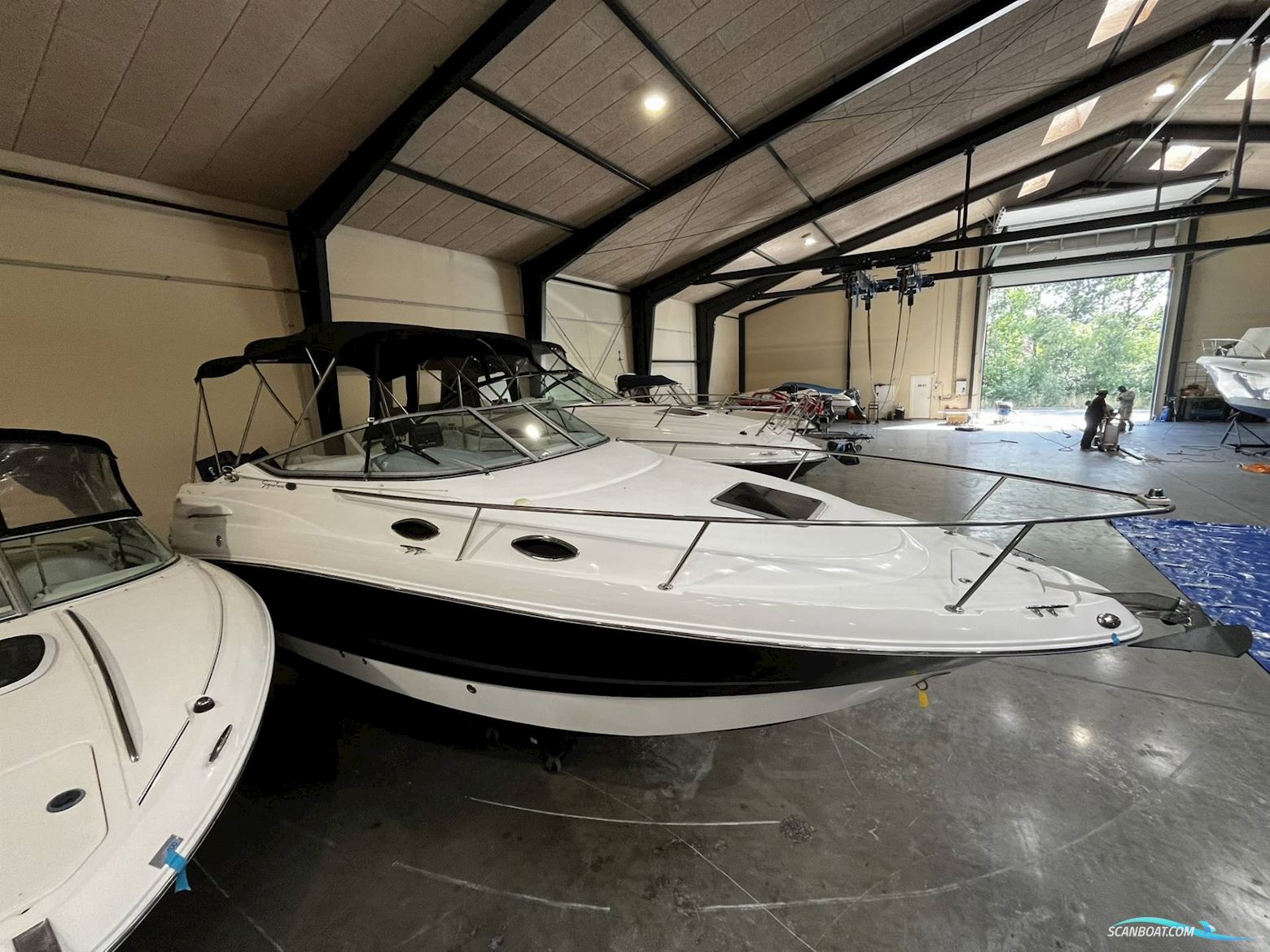 Chaparral 240 Signature - Volvo Penta 5,0 GXI