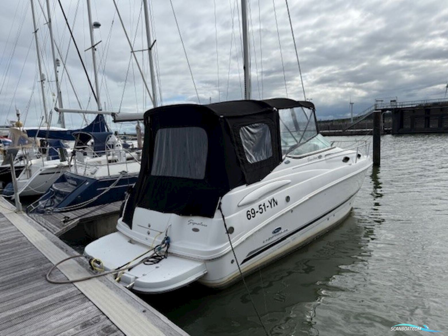 Chaparral 240 Signature