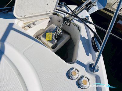 Chaparral 290 Signature Motorboot 2009, mit Volvo Penta 5.0 GX-J (2 x 225 HK) motor, Dänemark