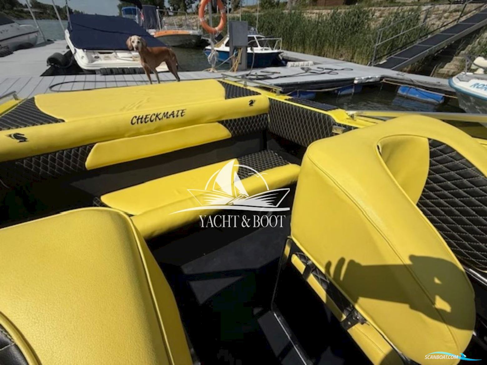 Checkmate 26 Convincor