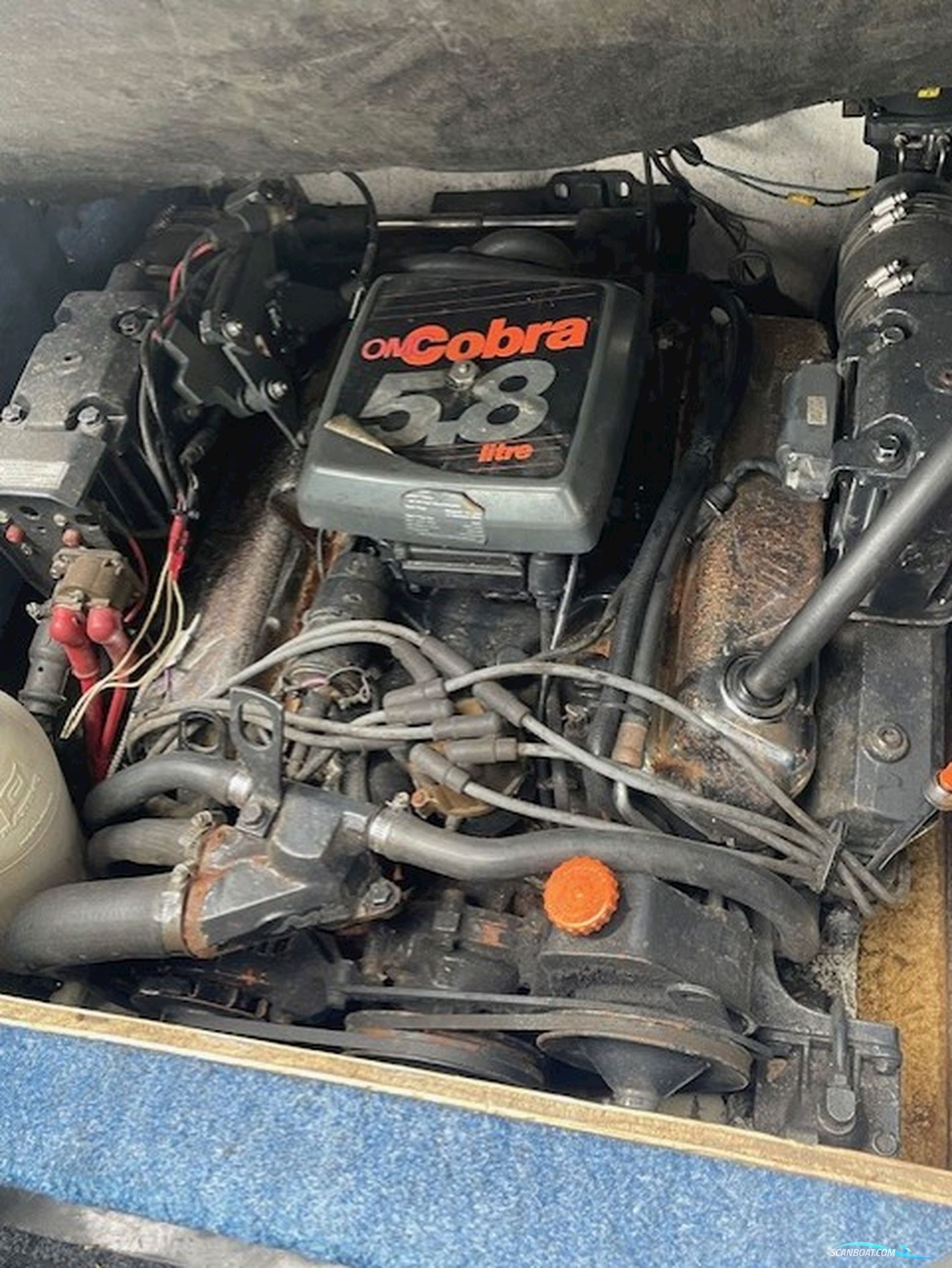 Chris Craft 228 Concept