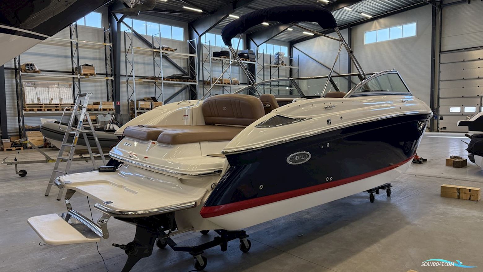 Cobalt 243