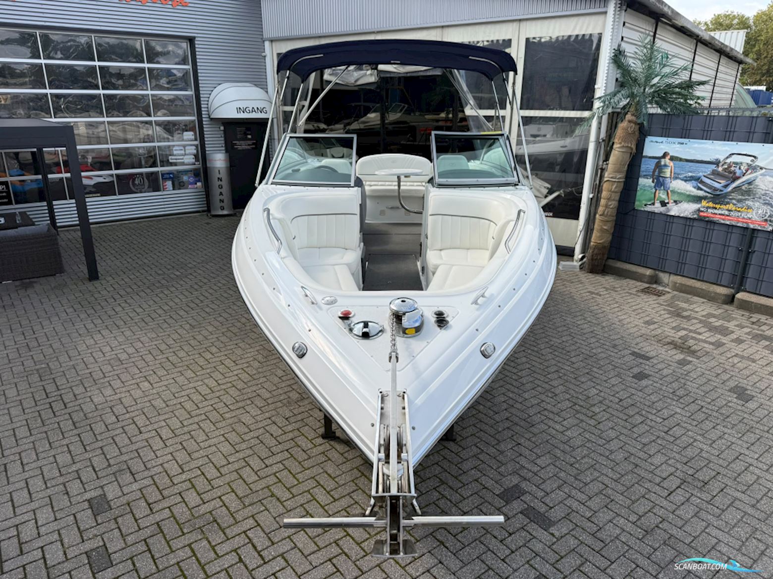 Cobalt 252