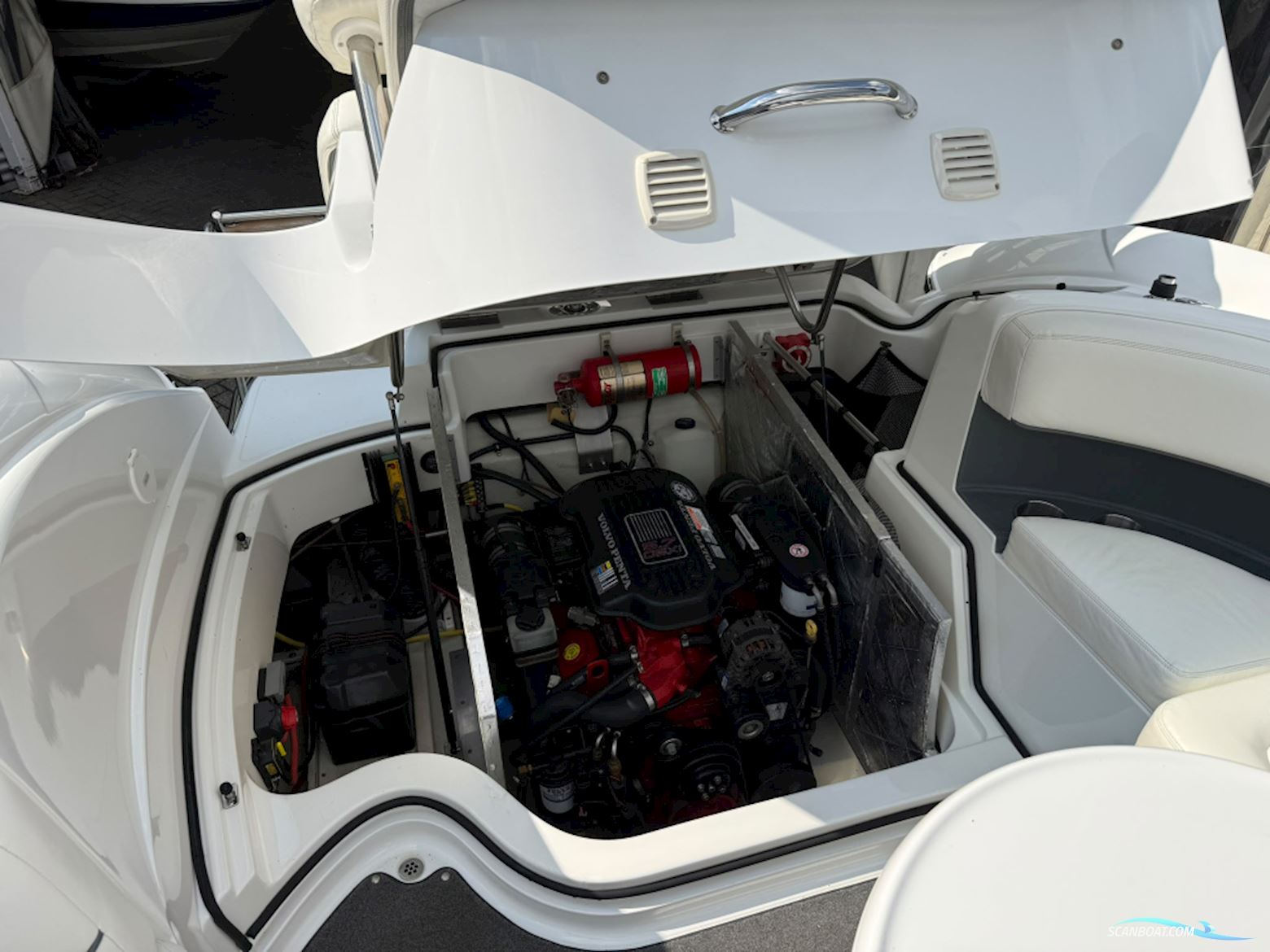 Cobalt 252