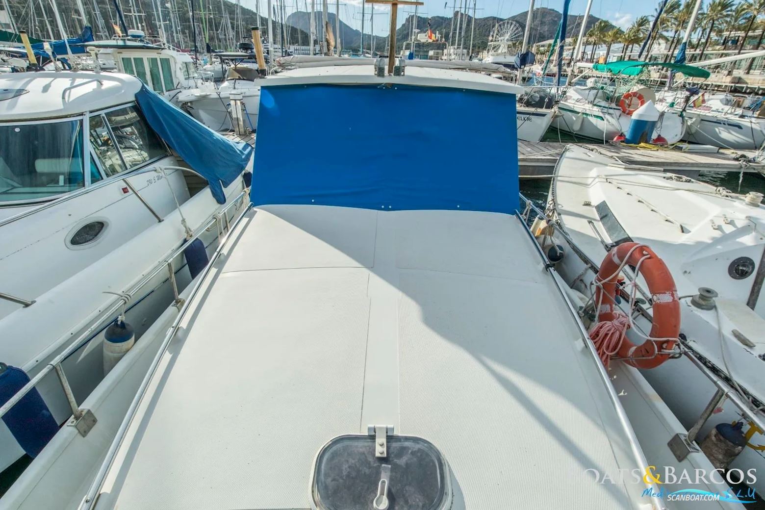 COPINO llaud 44