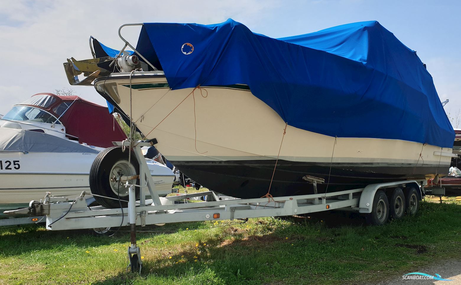 Coronet 32 Commander Wing