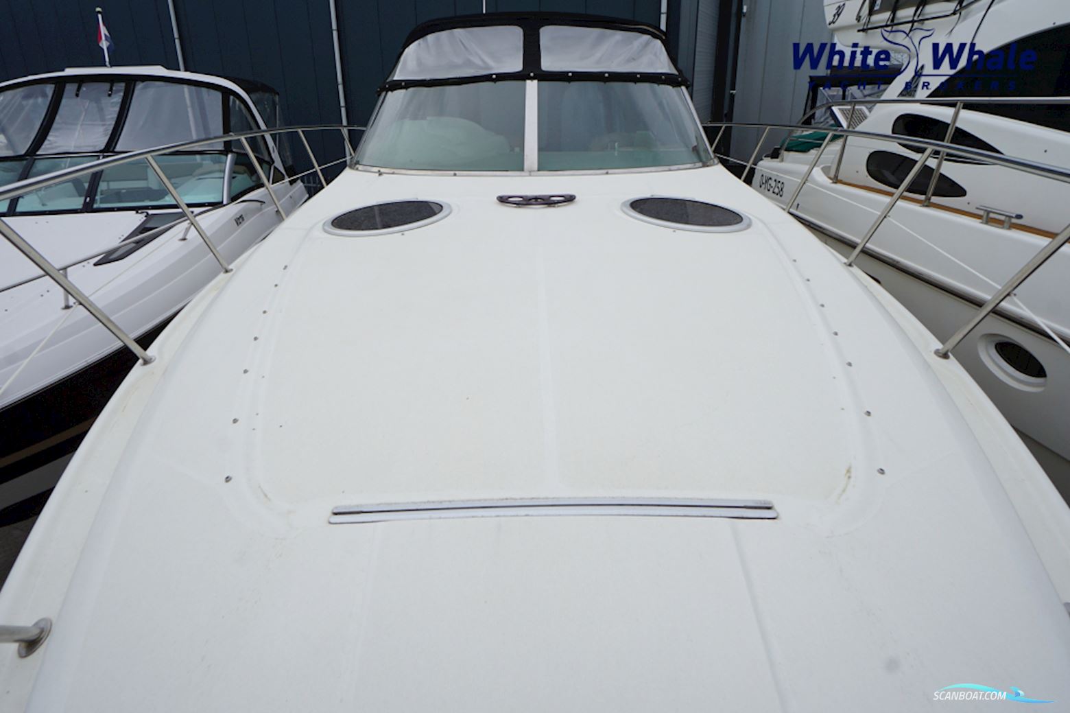 Cranchi 39 Endurance