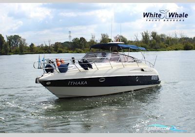 Cranchi Endurance 33 Motorboot 2003, mit 2x Volvo Penta motor, Belgien