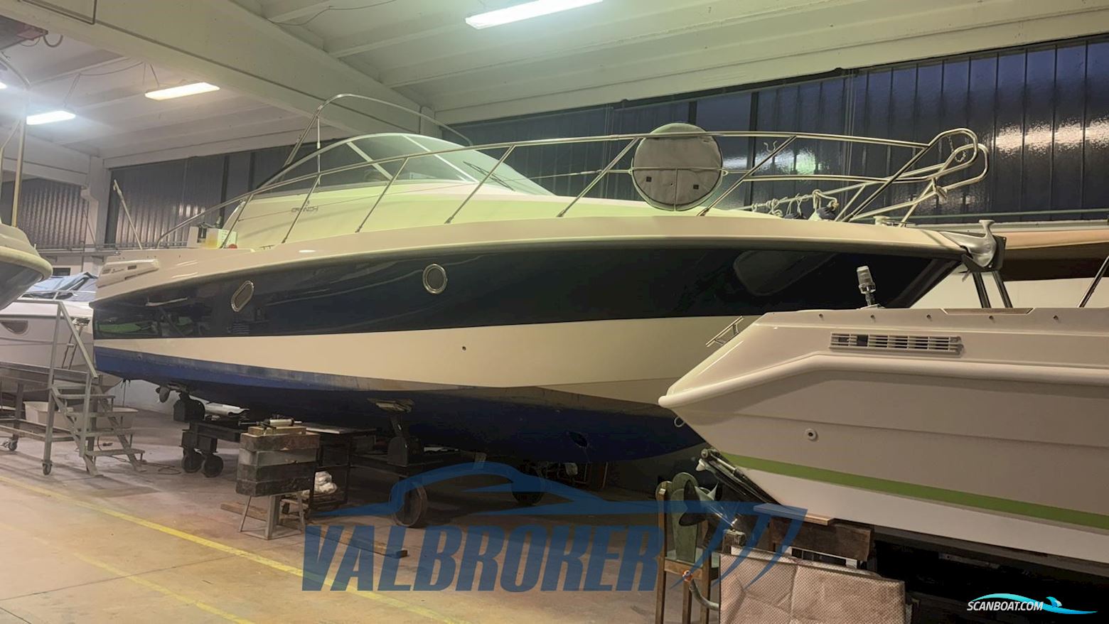 Cranchi Pelican 32