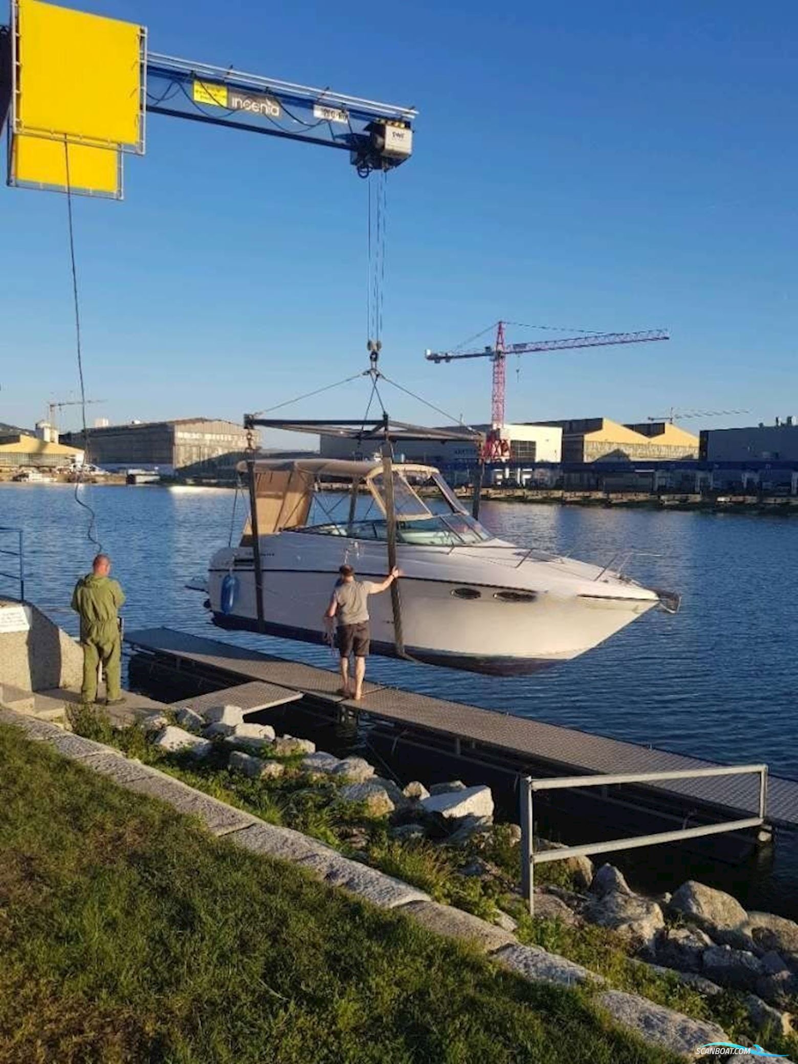 Crownline 242 CR