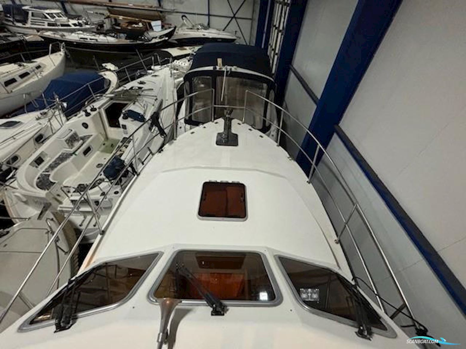 Cygnus Cyfish 33