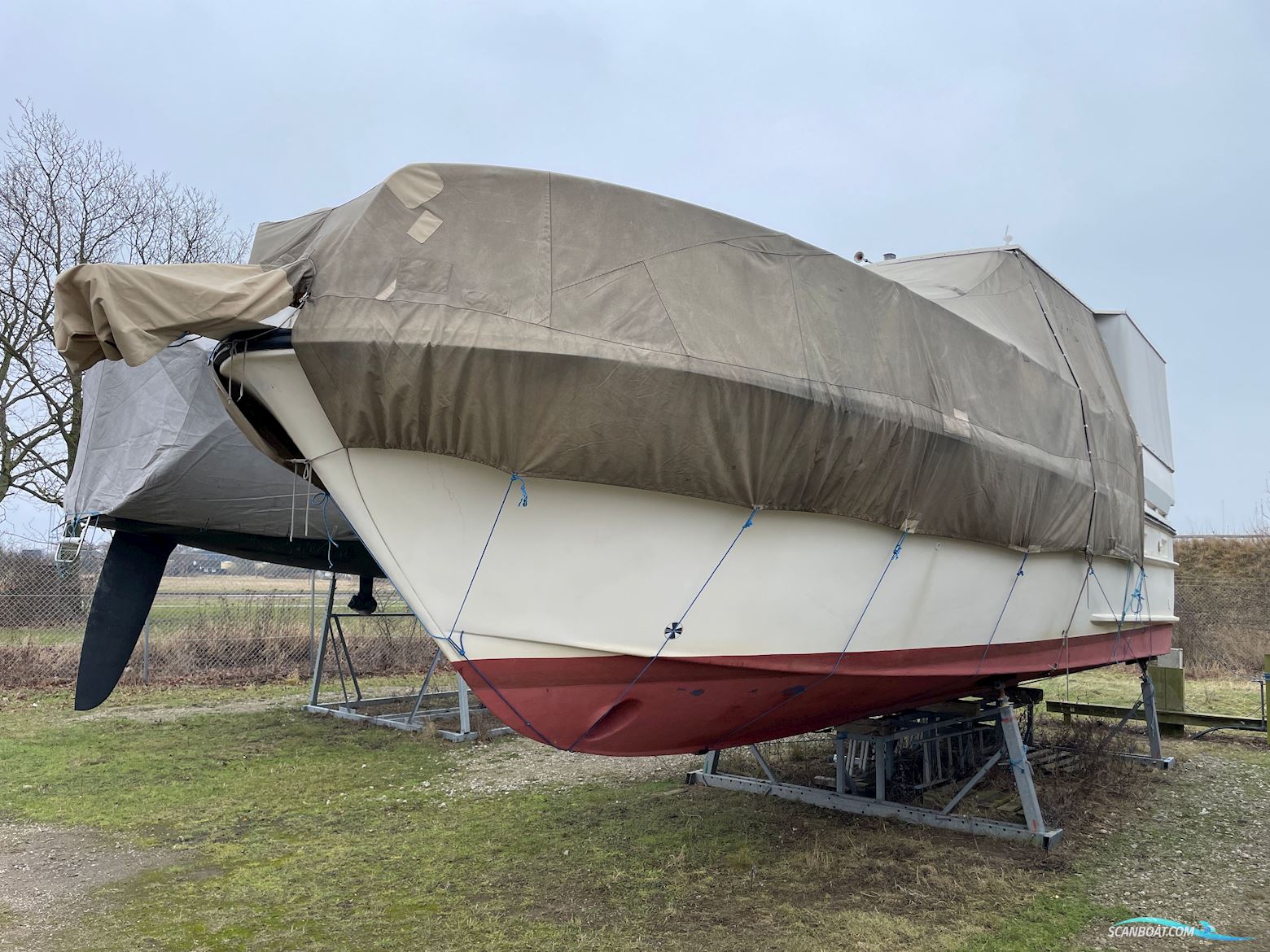 Cytra Ambassador 38 DS