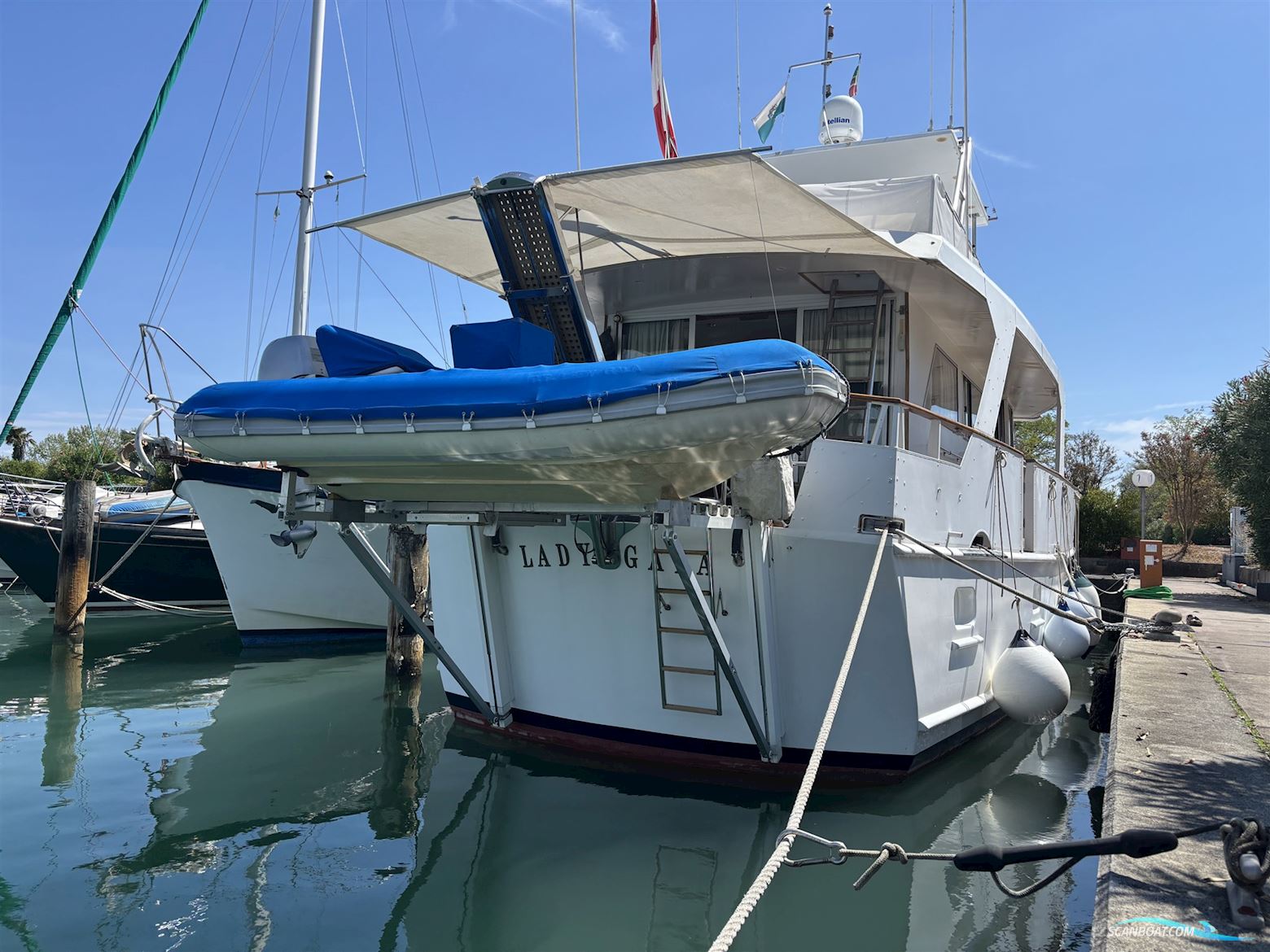 Dagless Fleur de Lys 56' Fleur de Lys Continental