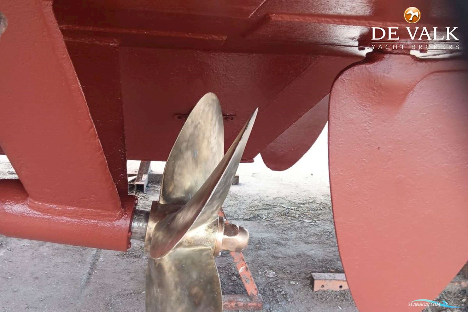 Day Passengers Ship Diving Boat 24 M