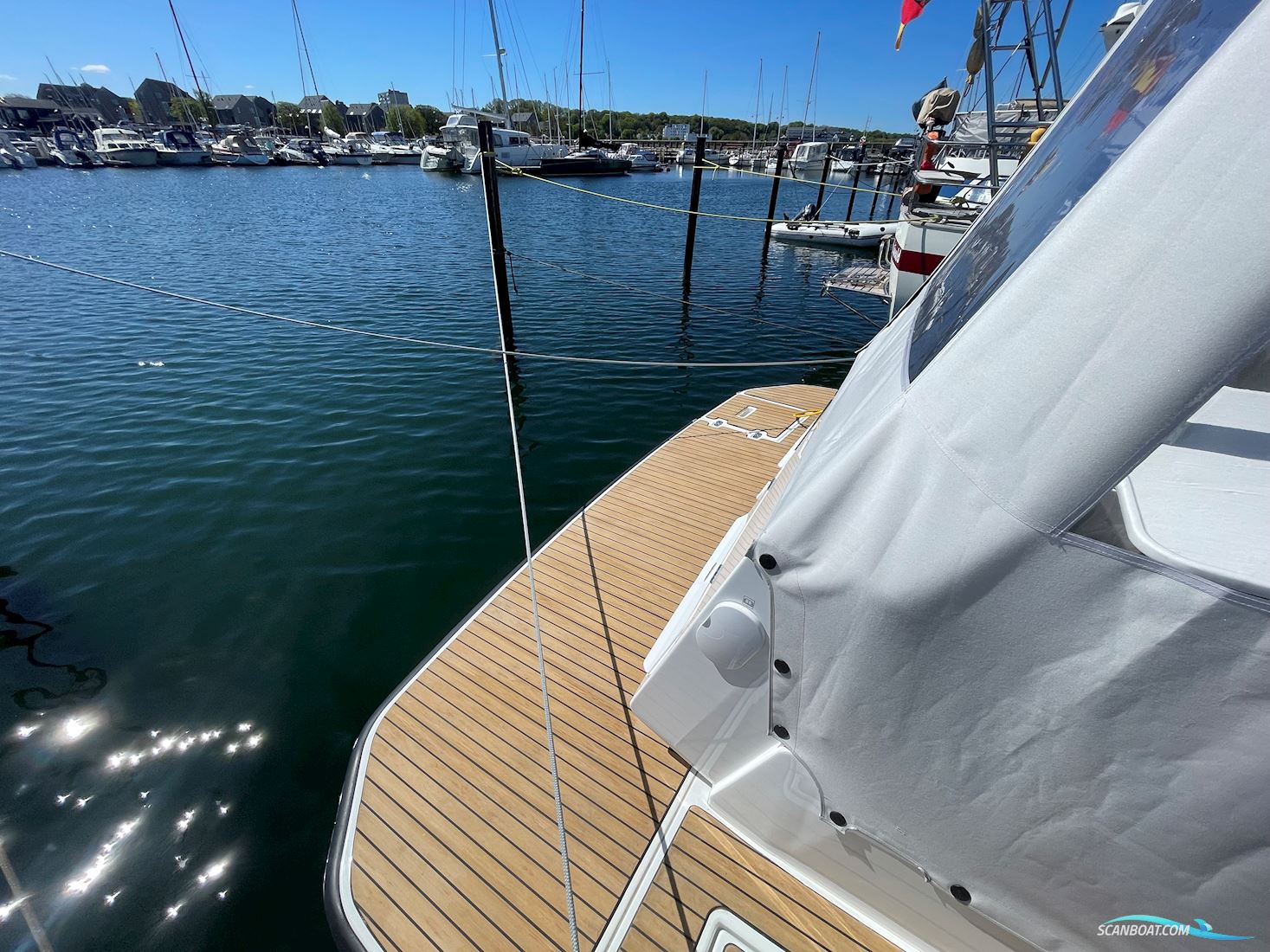 Delphia 11 Flylounge