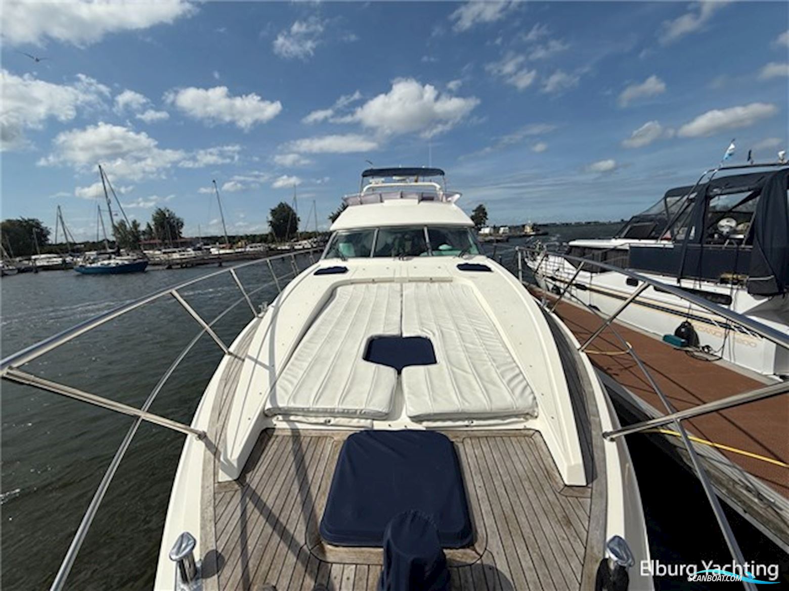 Elegance 53