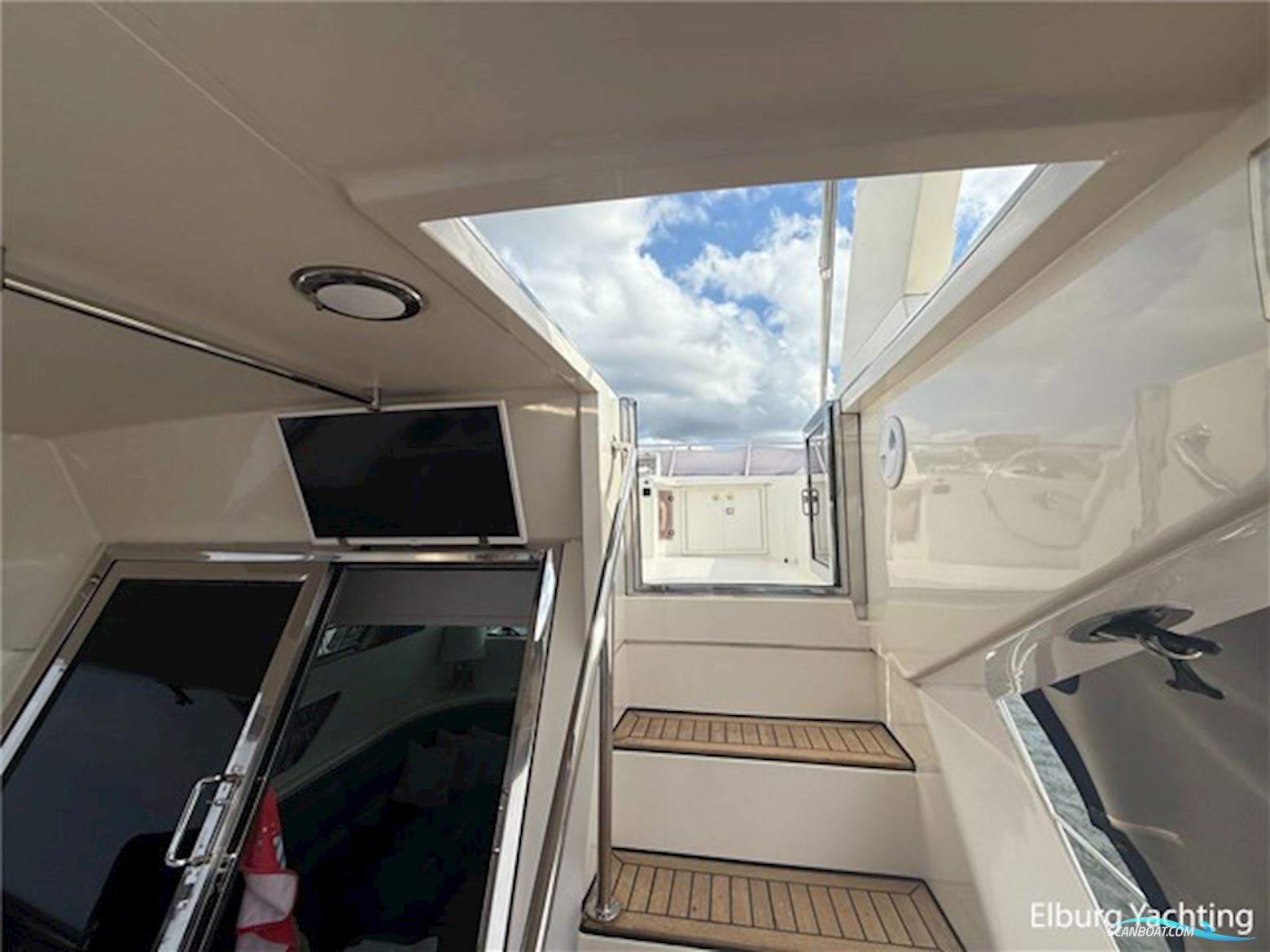 Elegance 53